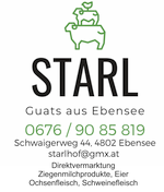  logo Starl